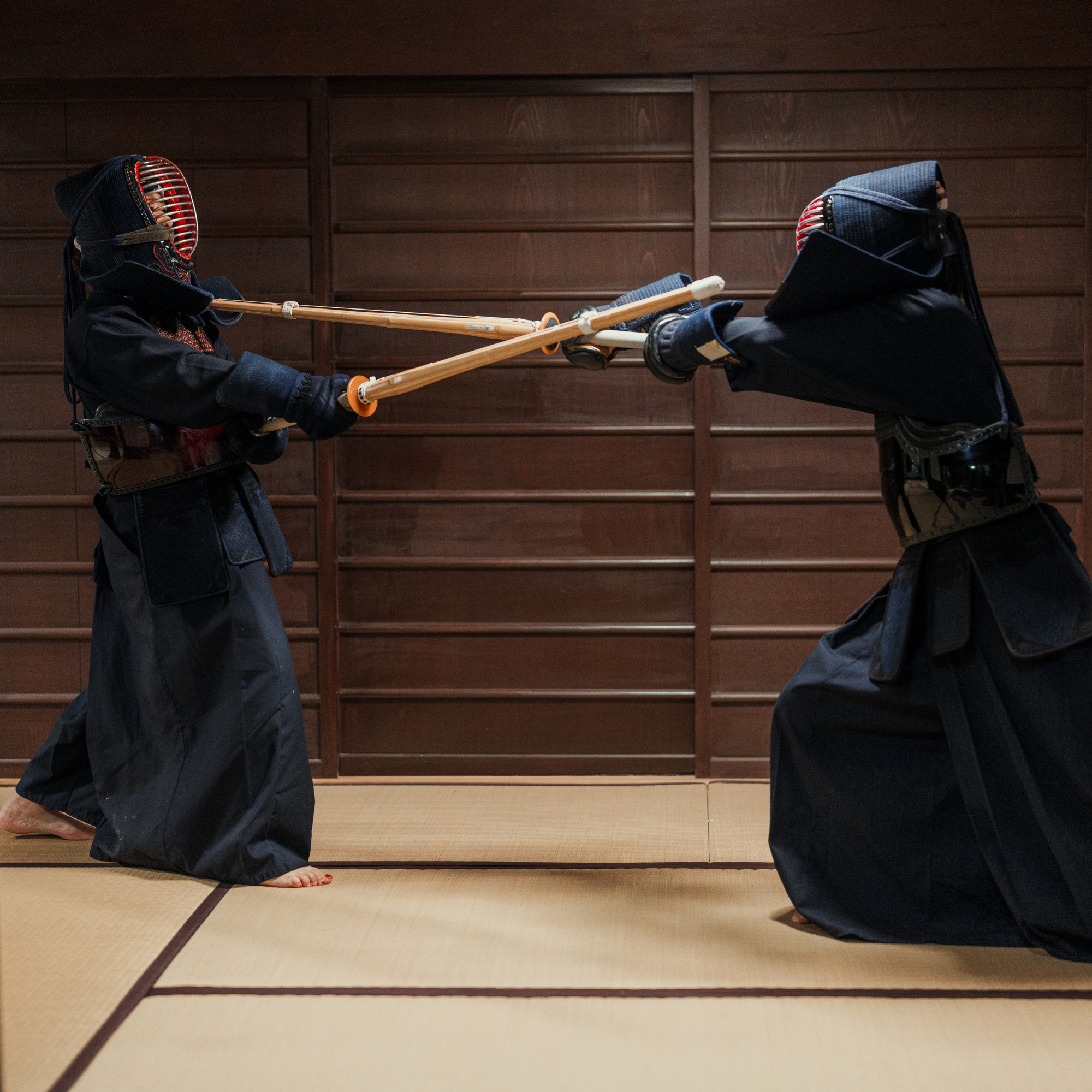Die Reise des Samurai der Disziplin — 武者修行 (Musha Shugyo)