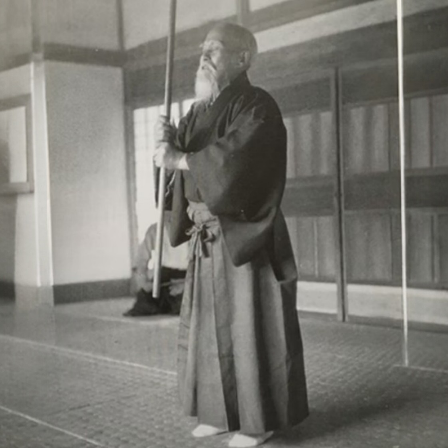 Il Potere Creativo dell'Aikido — 武産合気 (Takemusu Aiki) di Yuka
