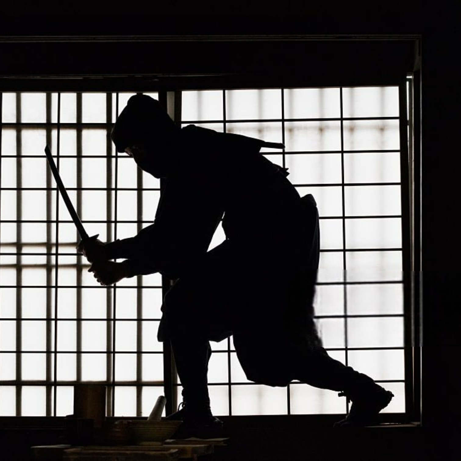 忍者 Ninja - Master of the Unseen, Eatchiment of Silent Power di Mai